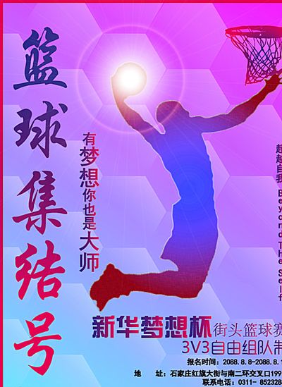 琳因故退赛 琳因故退赛