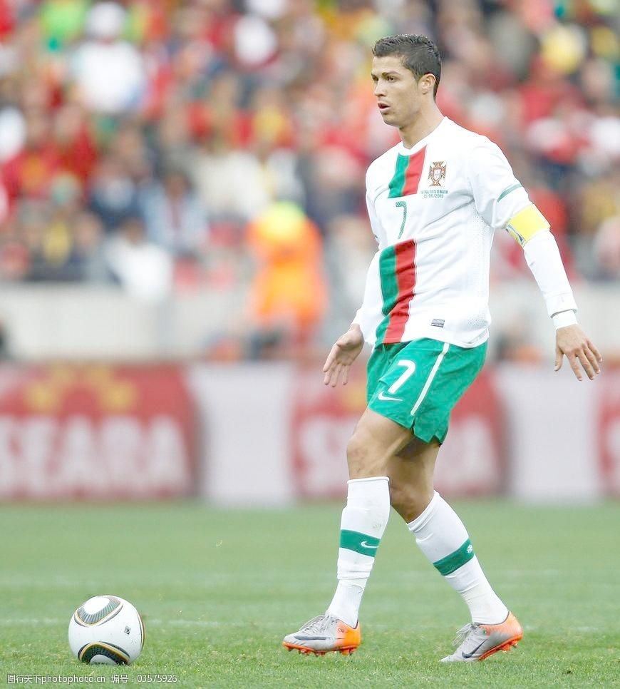 他们拥有世 他们拥有世